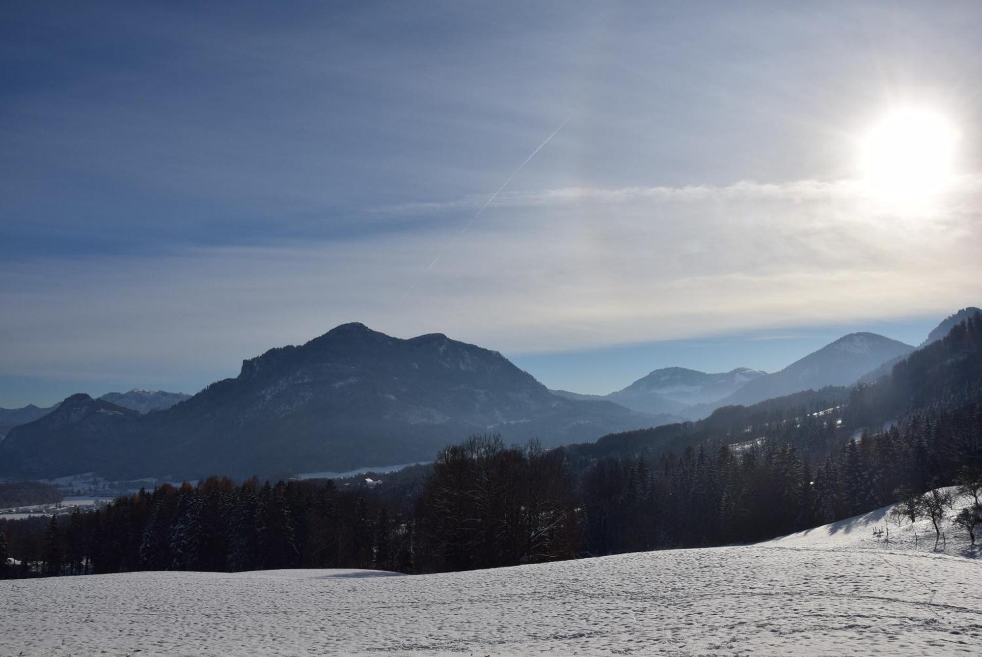 Schlossalm Ferienwohnungen Бранненбург Экстерьер фото
